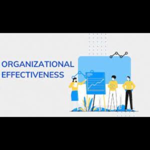 ORGANISATIONAL EFFECTIVENESS AND CHANGE
